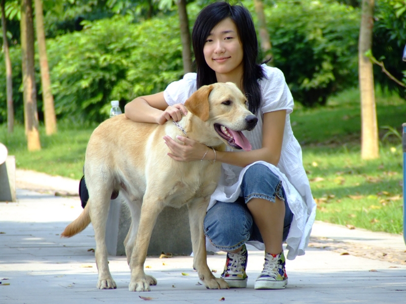 风中的绿叶的第一张照片--昆明相亲服务中心