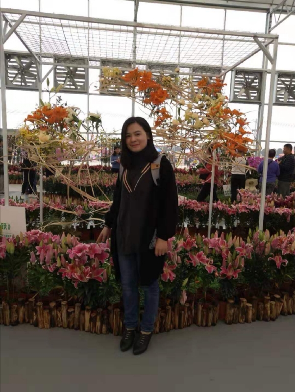 紫苏的第二张照片--昆明相亲服务中心