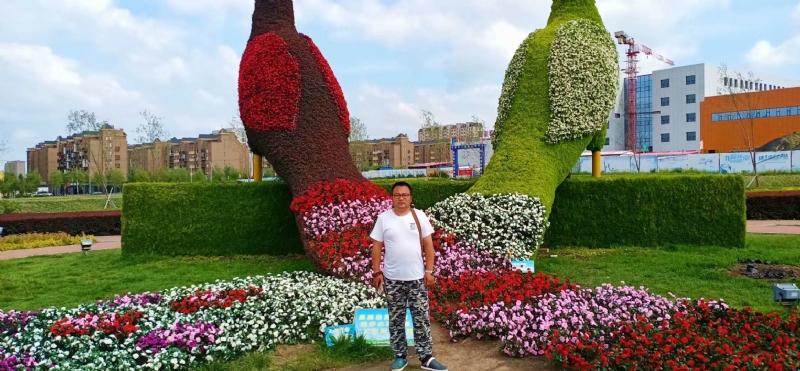 尘埃的第一张照片--昆明相亲服务中心