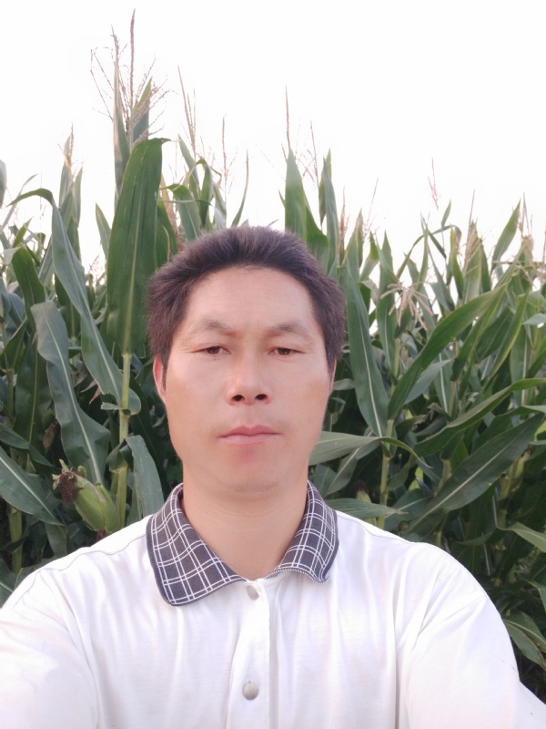 四海游龙的第一张照片--昆明相亲服务中心