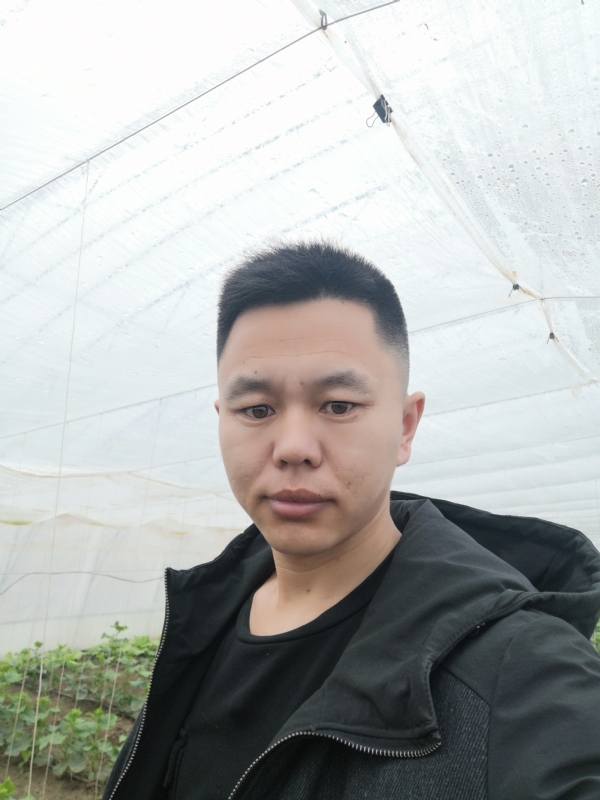 宇成的第二张照片--昆明相亲服务中心