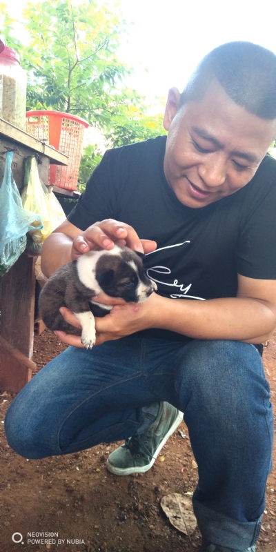 深圳相亲的第一张照片--昆明相亲服务中心