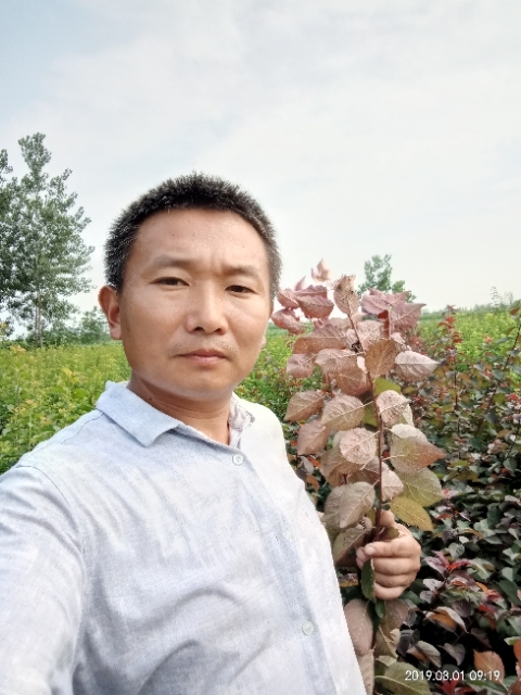 孩子爸的第一张照片--昆明相亲服务中心