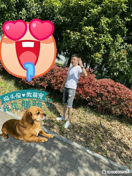 我若不坚强谁替我勇敢的第一张照片--昆明相亲服务中心