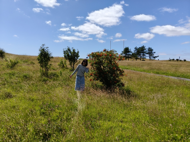 秋蝉的第一张照片--昆明相亲服务中心