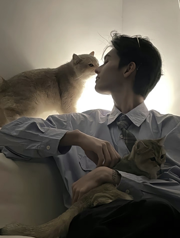 怪猫的第一张照片--昆明相亲服务中心