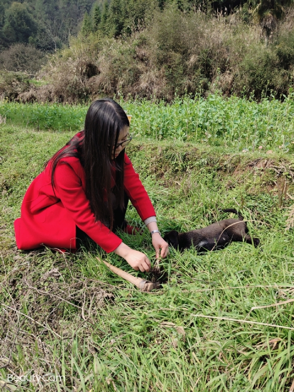 下一个春和秋的第一张照片--昆明相亲服务中心