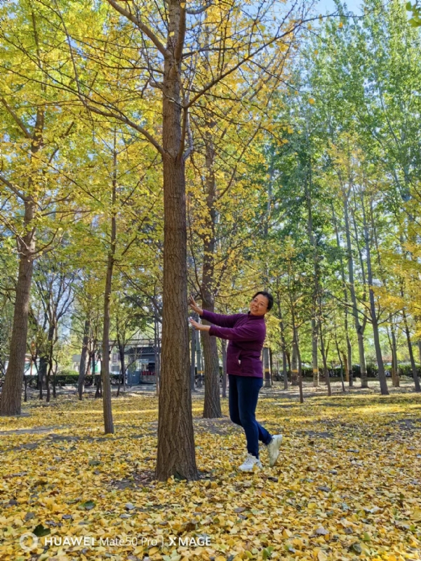 Shirley的第一张照片--昆明相亲服务中心