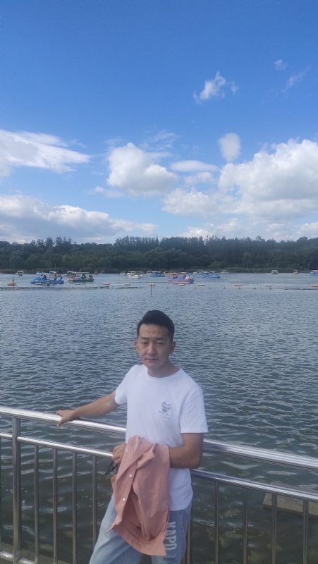 脱了壳的龟的第一张照片--昆明相亲服务中心