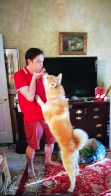 Leluch的第一张照片--昆明相亲服务中心