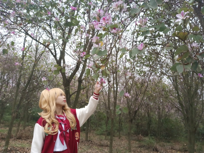 暮秋的第二张照片--昆明相亲服务中心