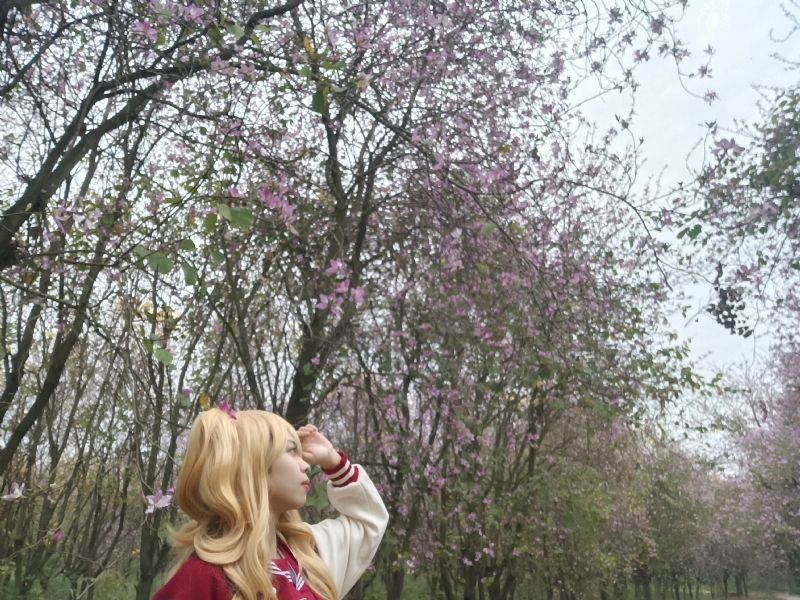 暮秋的第五张照片--昆明相亲服务中心