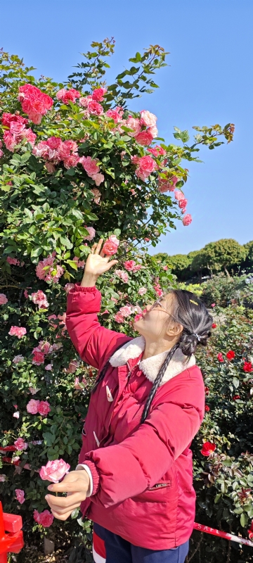 狗狗的第一张照片--昆明相亲服务中心